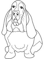 coloriage  basset assis